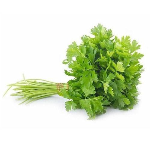 Coriander Malli Leaves 100 gm Shysha