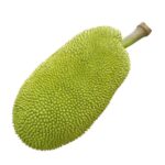 WhatsApp Image 2022-03-19 at 2.43.38 PM