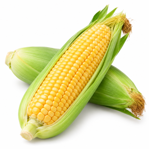 Sweet Corn 1 Pcs
